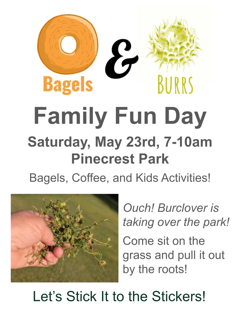A poster for the Bagels & Burrs Family Fun Day in Pinecrest Park on May 23rd.
